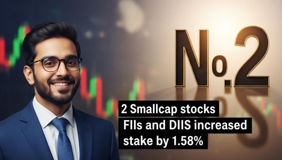 2 Small Cap Stock FII DII Increased Stake